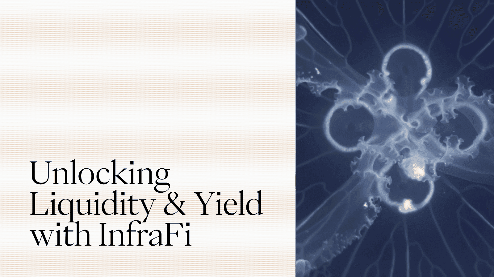 Unlocking Liquidity and Yield with InfraFi