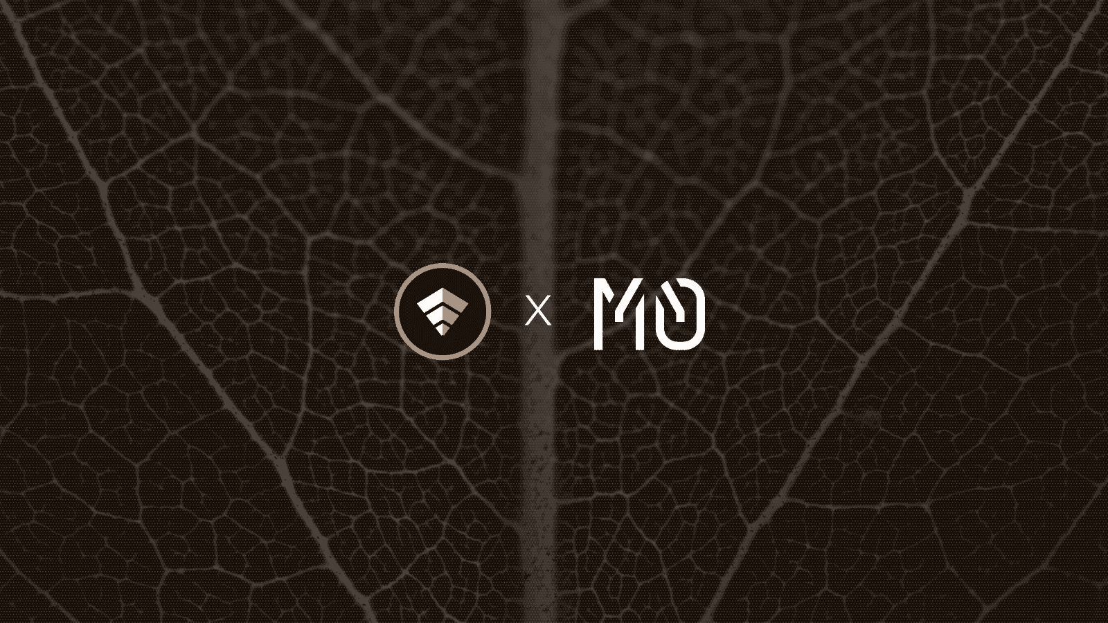 USD.AI is Powered By M^0