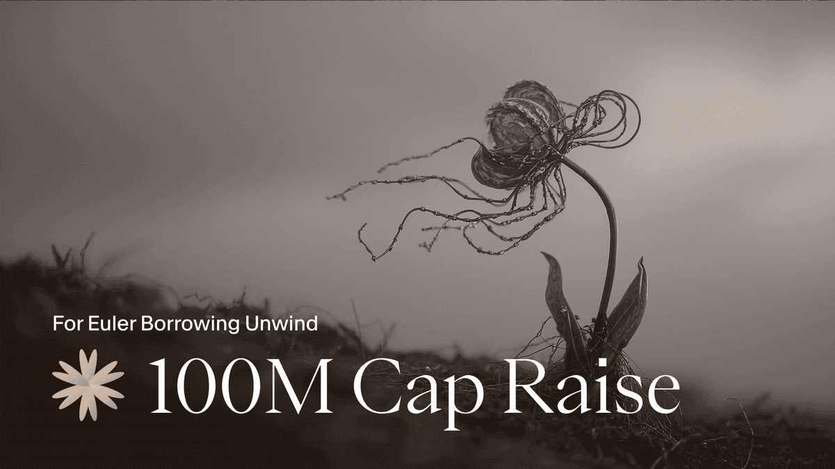 USDai $100m Cap Raise for Euler Unwind